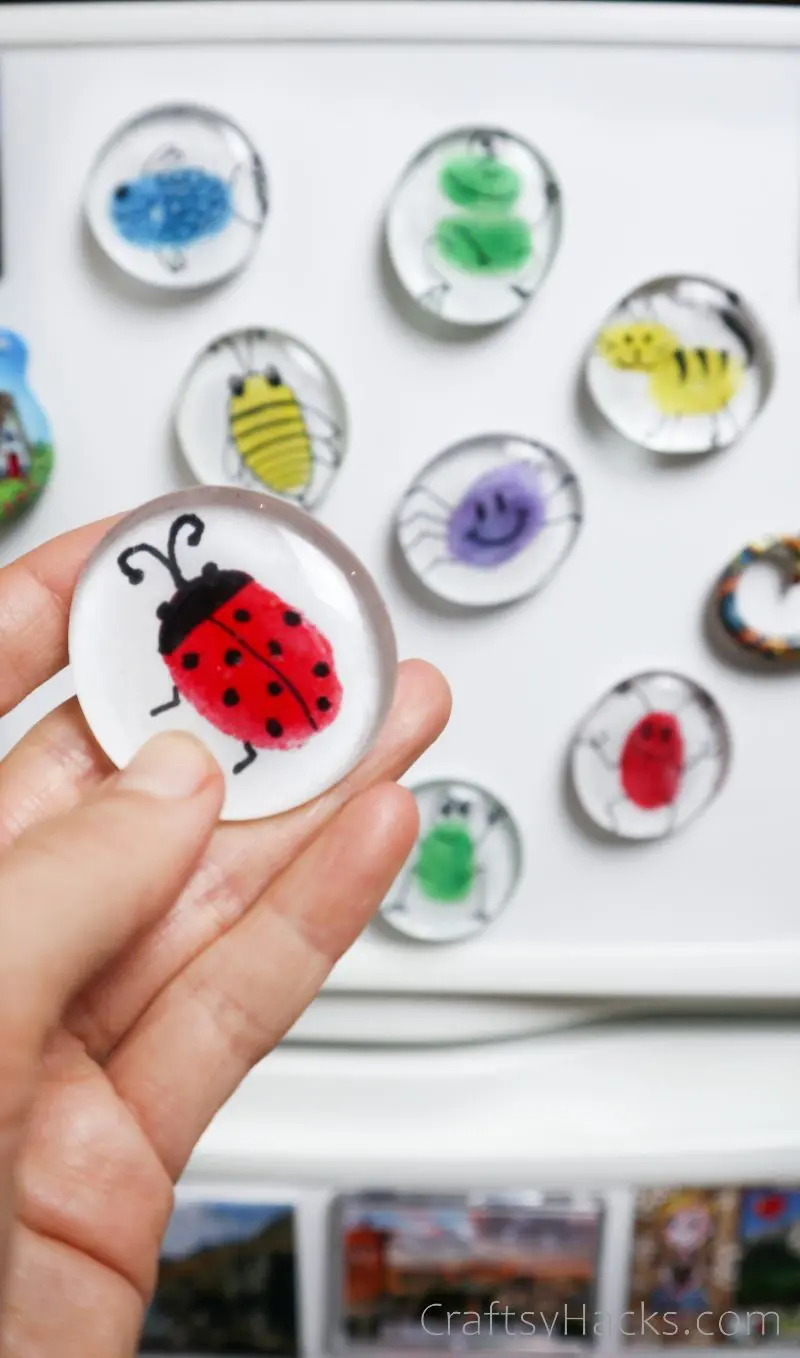 holding ladybug magnet in front of fridge