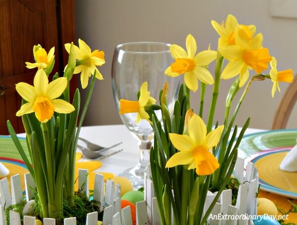 Daffodil Centerpieces