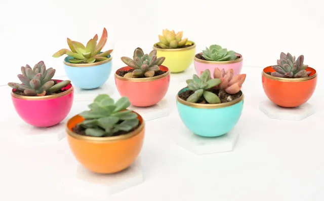 Gold-Rimmed Mini Succulent Planters