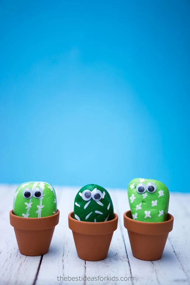 Pet Cactus Rocks