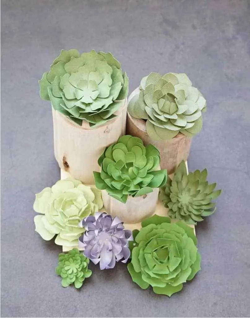 DIY Paper Succulents