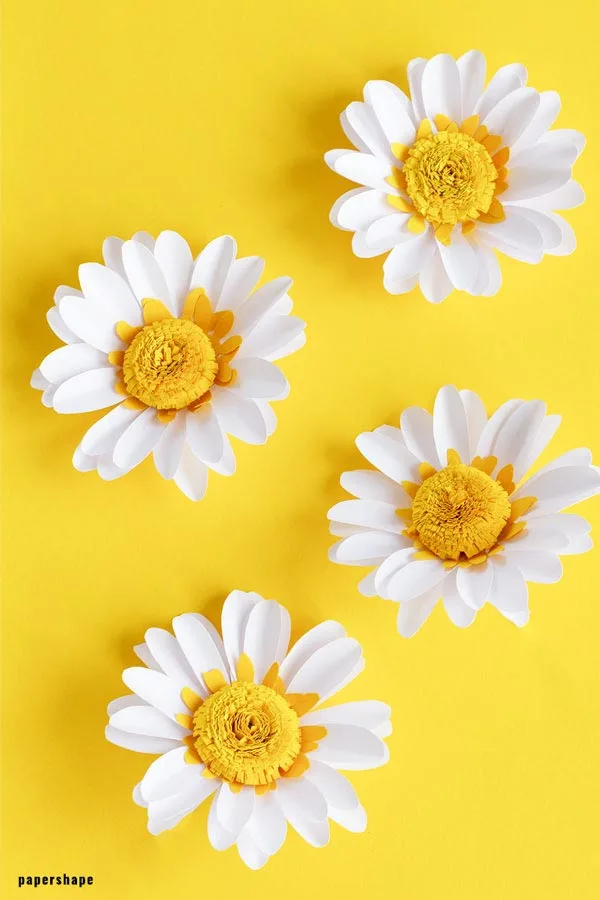 Paper Daisies