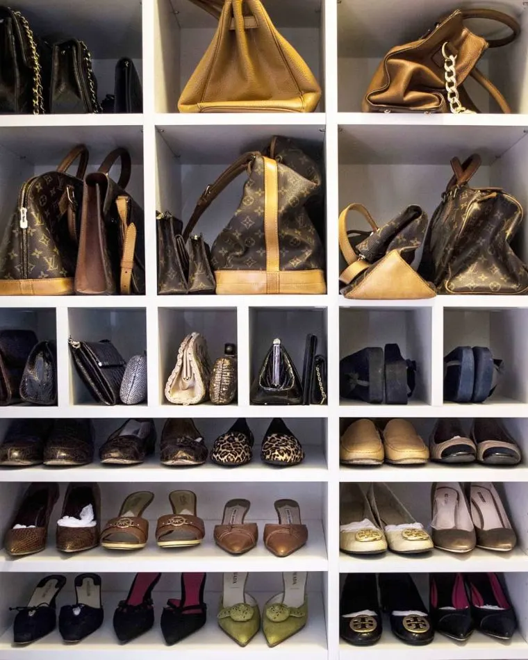 Purse and Shoe Accessory Storage