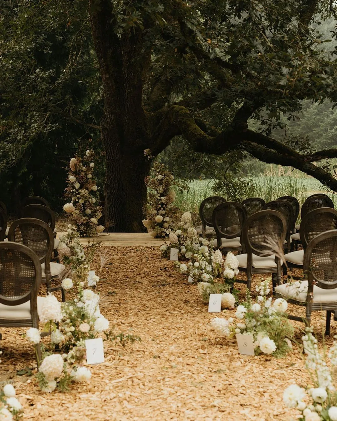 forest ceremony