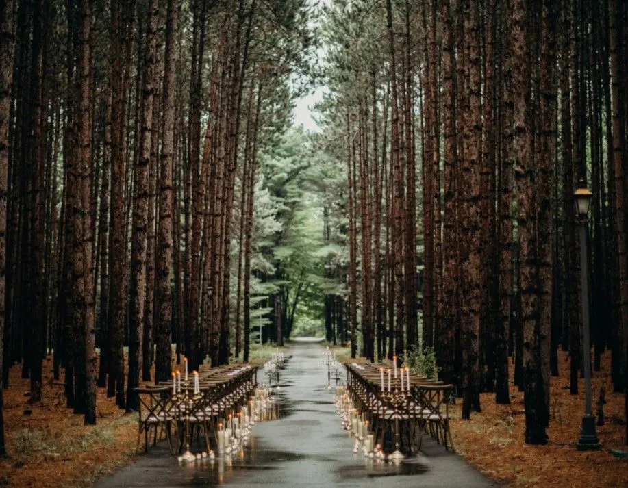 Woodland Wedding Ceremony