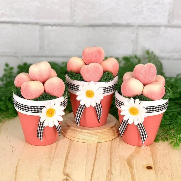 Pretty in Peach Pots