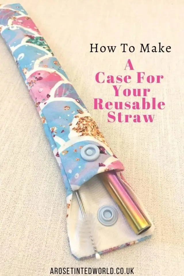 Reusable Straw Case