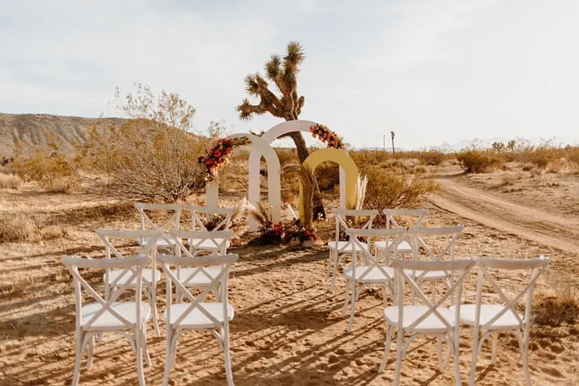 Desert Wedding