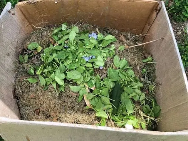 Cardboard Box Compost Bin