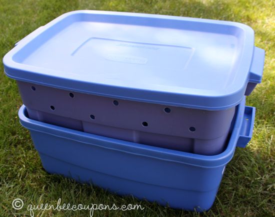 Worm Compost Bin