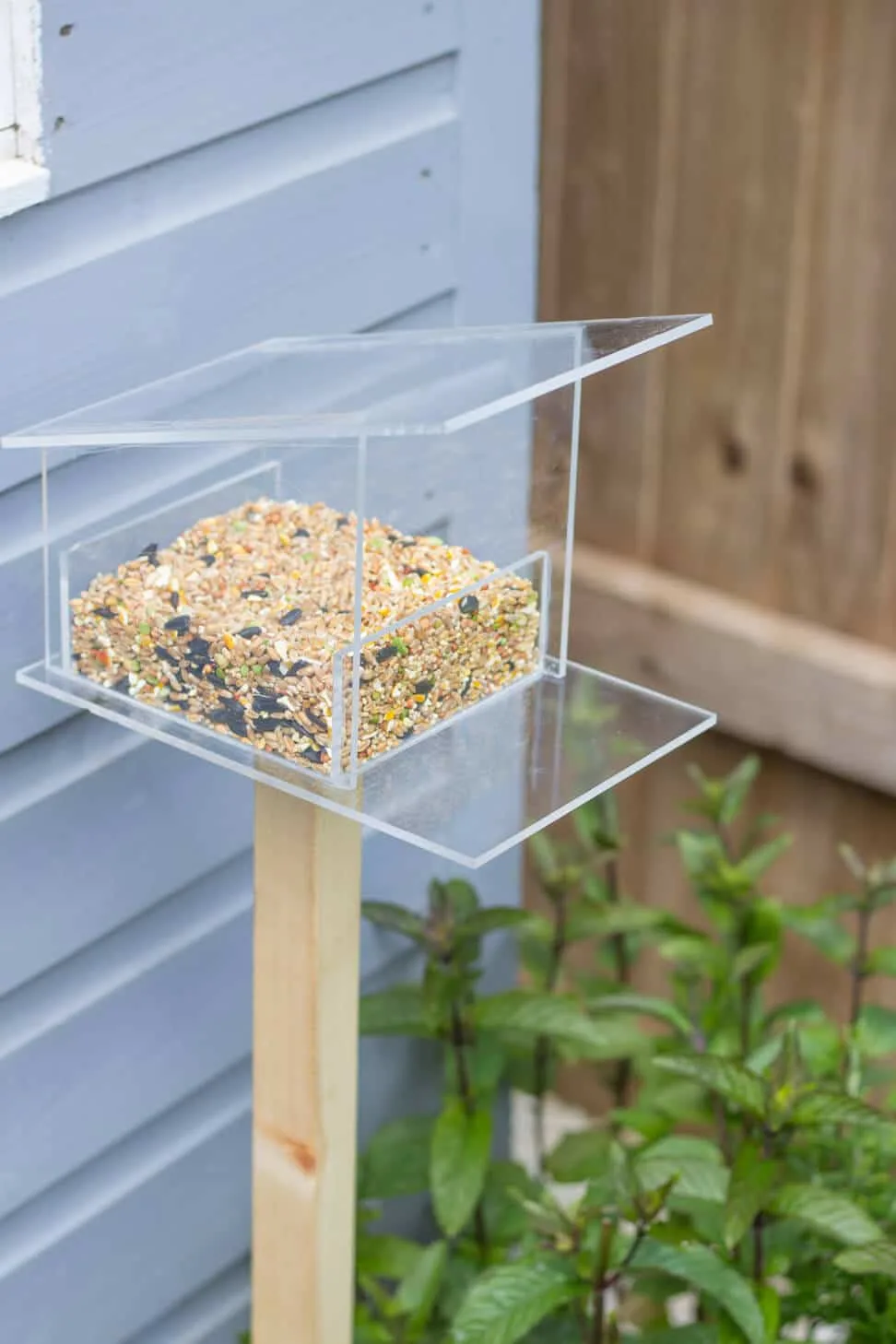 Bird Feeder