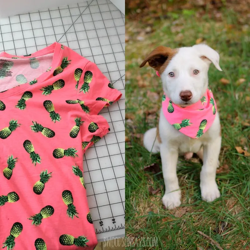 DIY Bandanna For Dogs