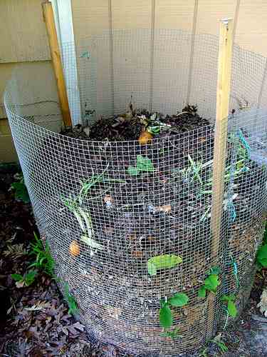 Compost Bin For Kitchen Scraps