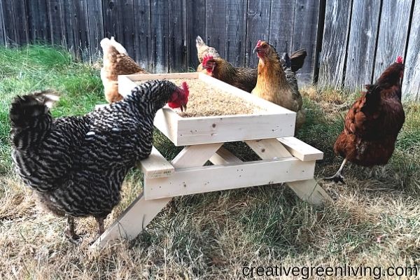DIY Chicknic Table