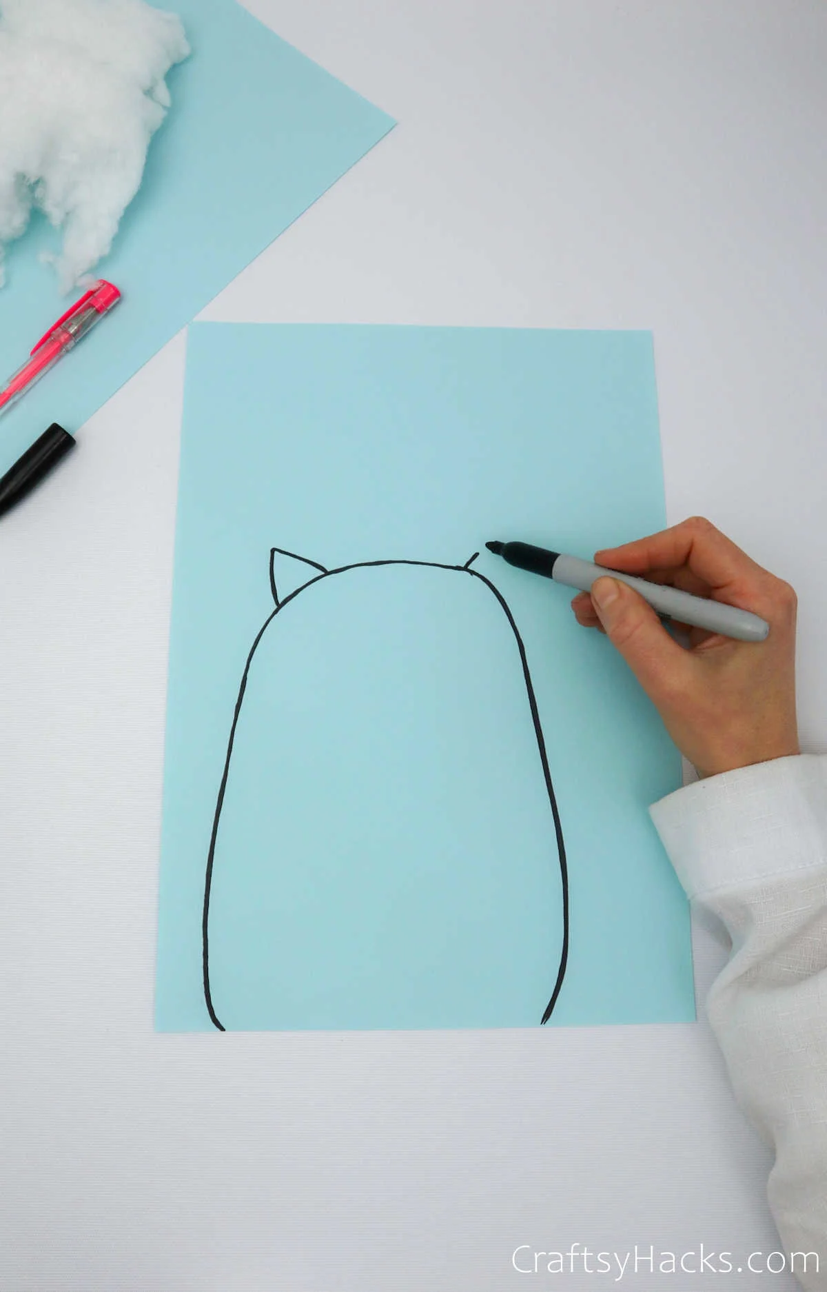 drawing cat shape on paper