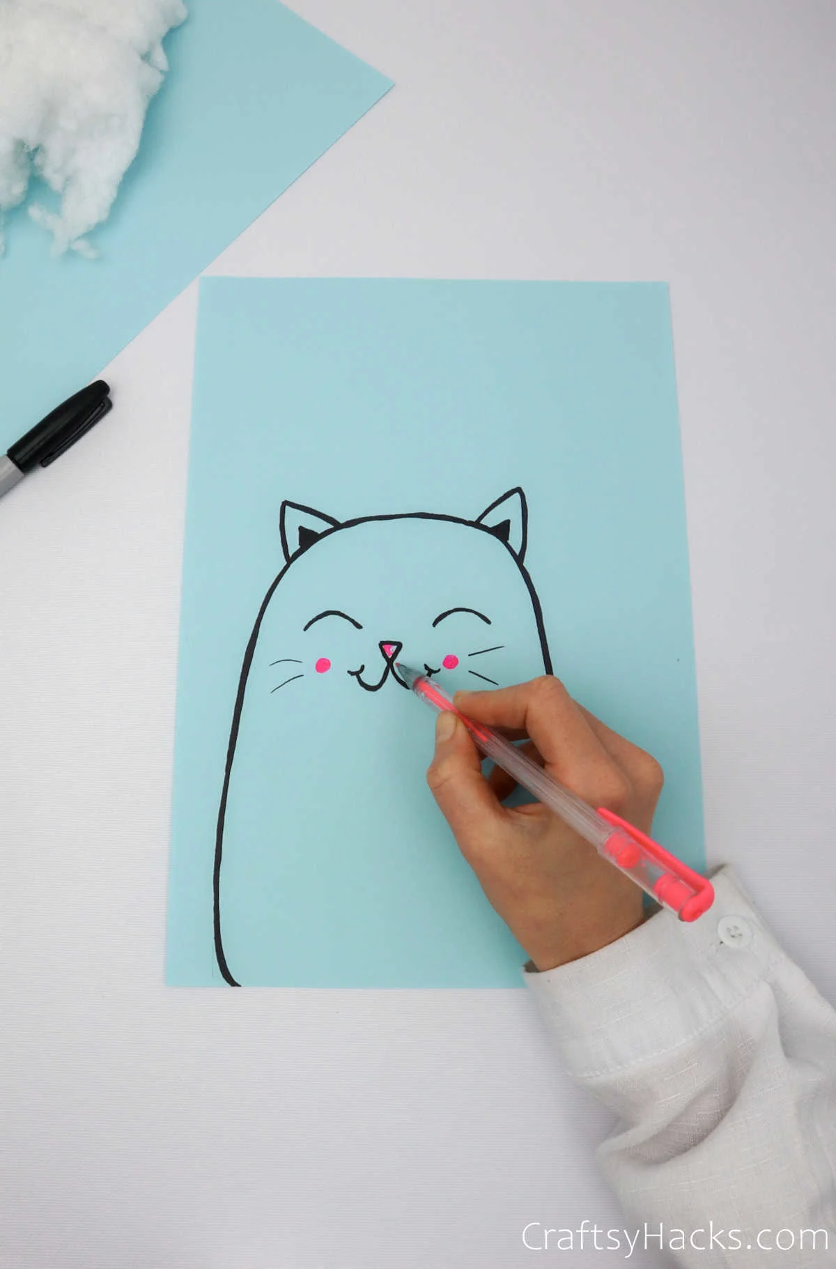 drawing cat face