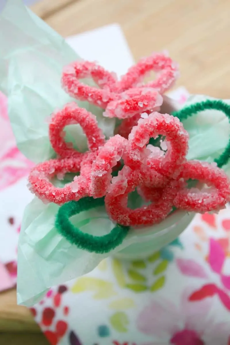 Borax Crystal Flowers