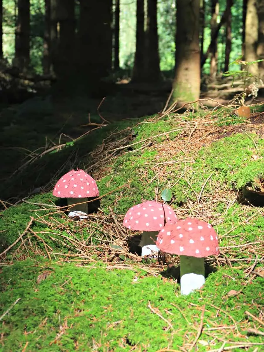 Fairy Toadstools