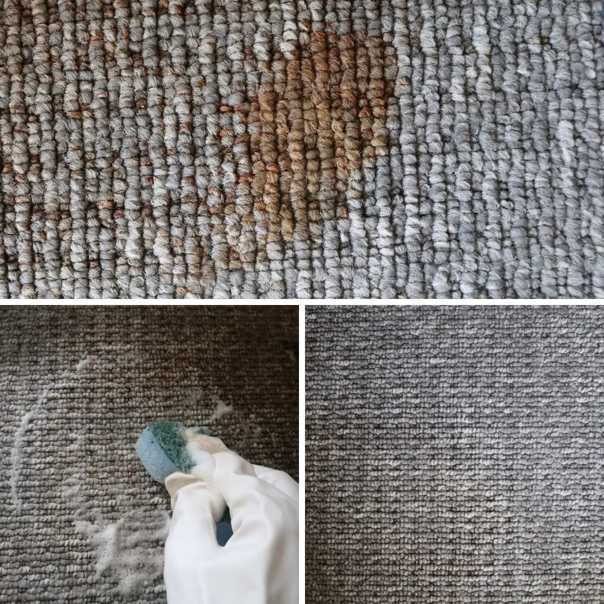 Remove Carpet Stains