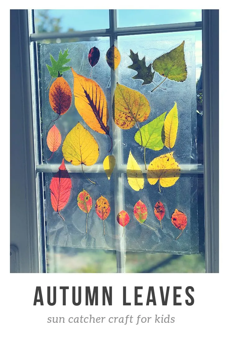 Autumnal Sun Catcher