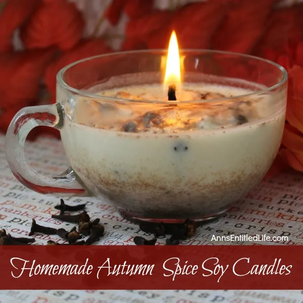 Homemade Autumn Spice Candles