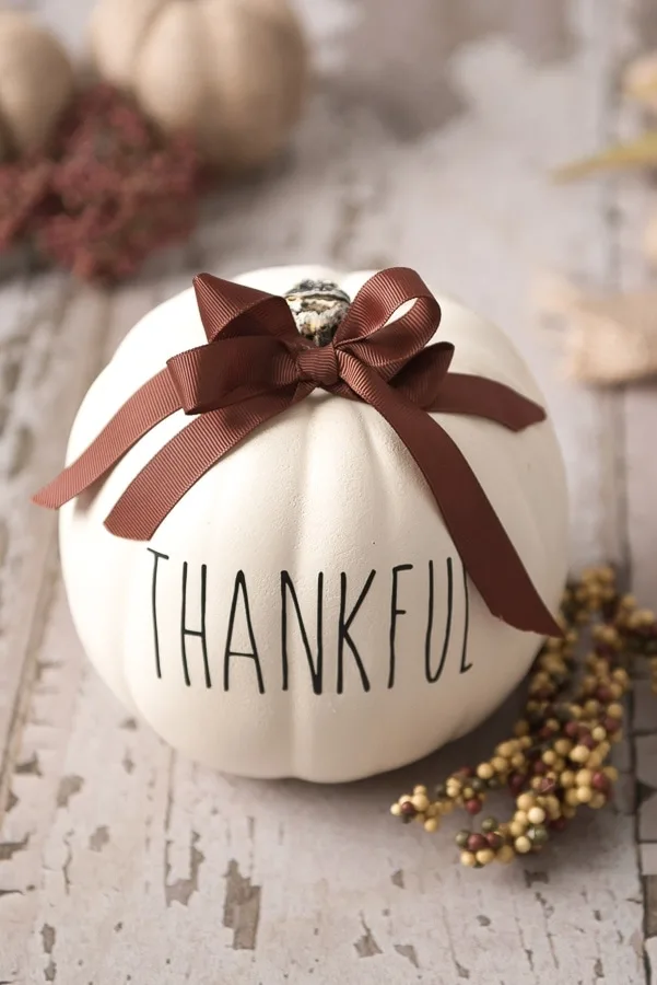 Cricut Thanksgiving Faux Pumpkin