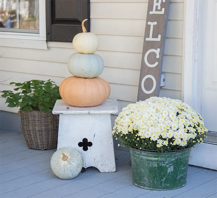 Coloured Pumpkins