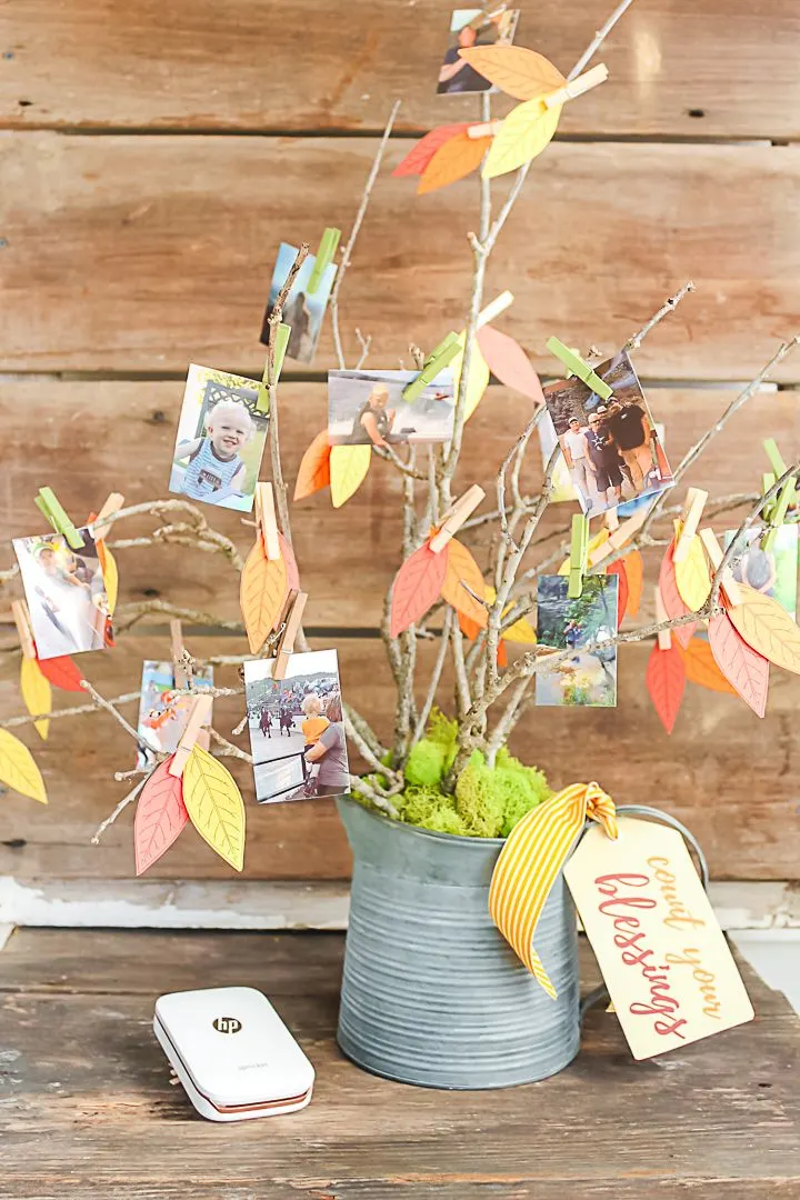 Thankful Tree With Photos