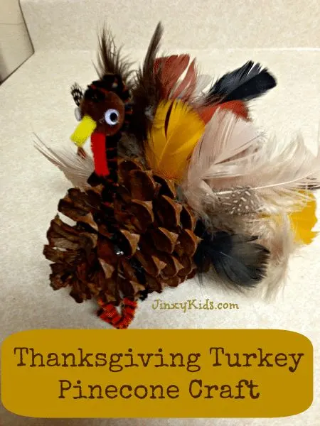 Pinecone Turkey