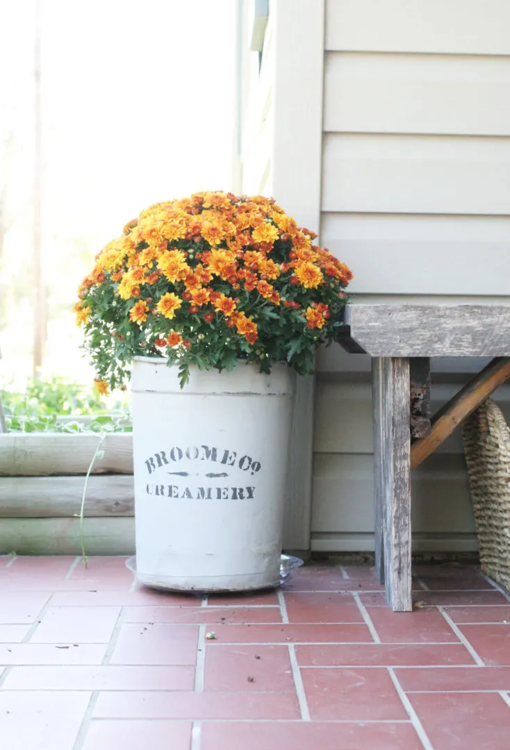 Fall Planters