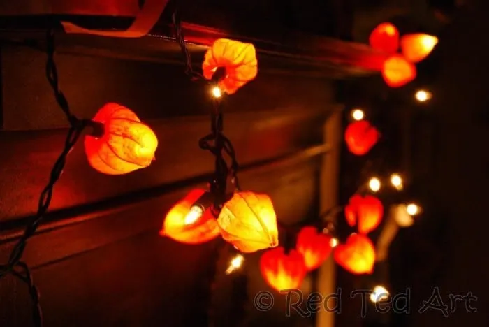 Fall Leaf Fairy Lights