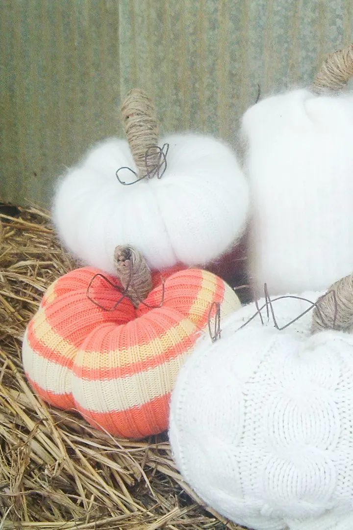 No-Sew Sweater Pumpkins