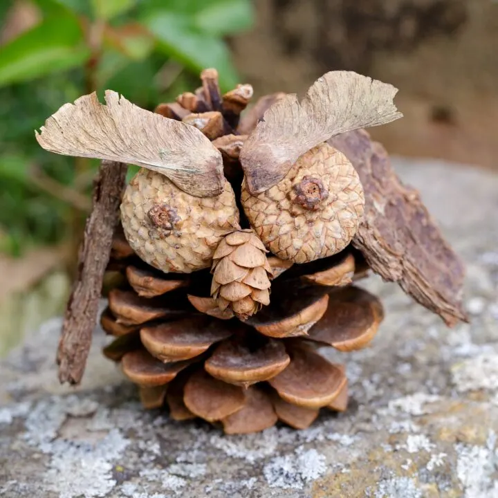 Rustic Pinecone Owl