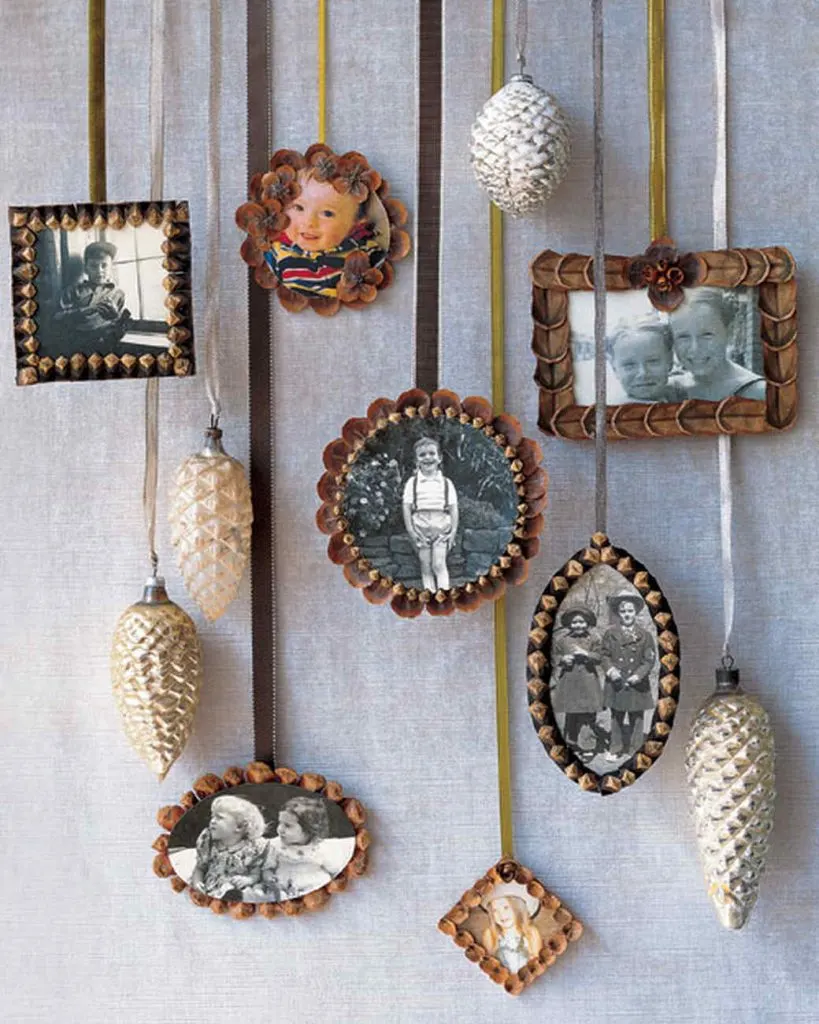 Pinecone Picture frame