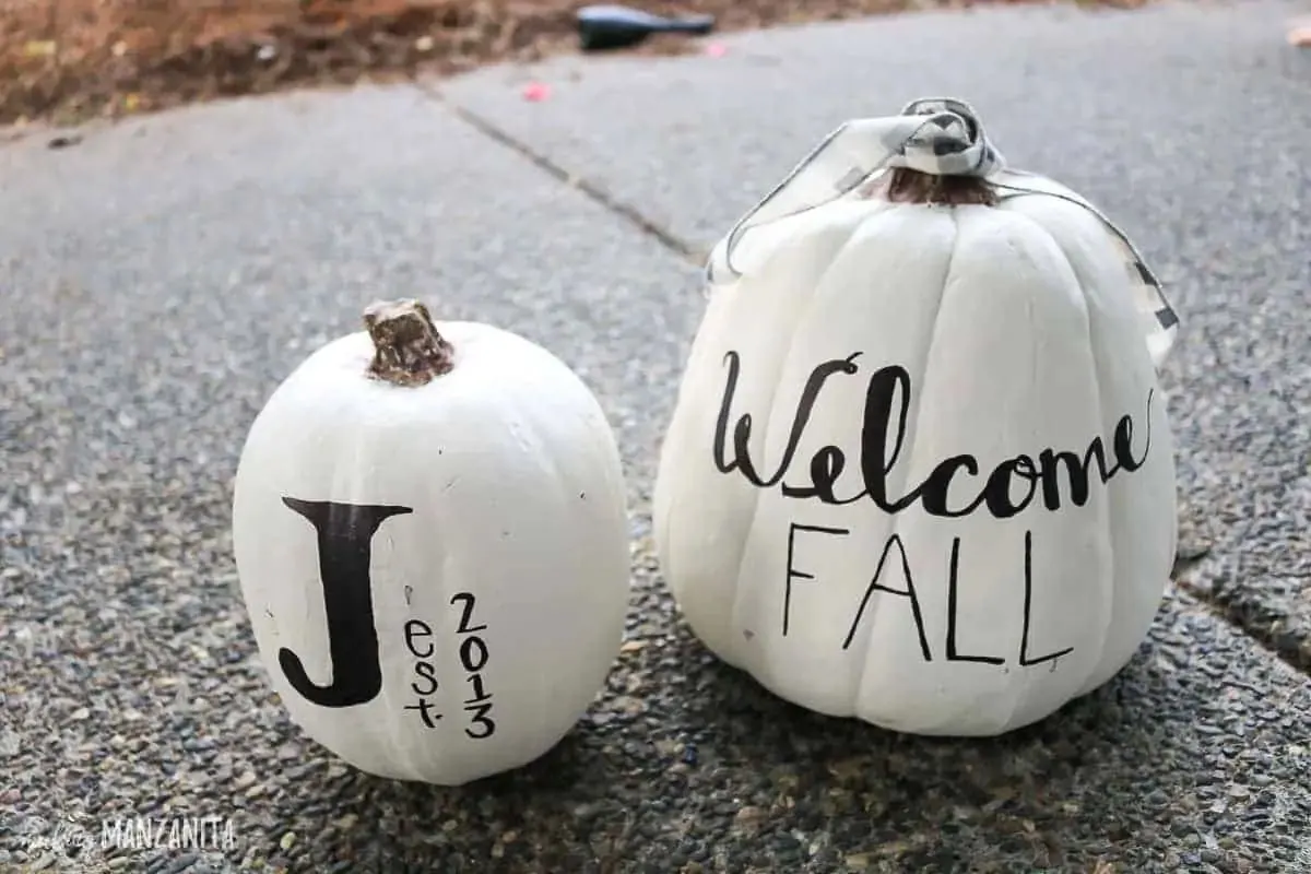 White Pumpkin Decor