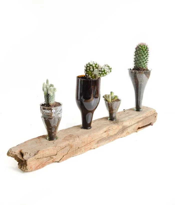 Upcycled Cacti Planter