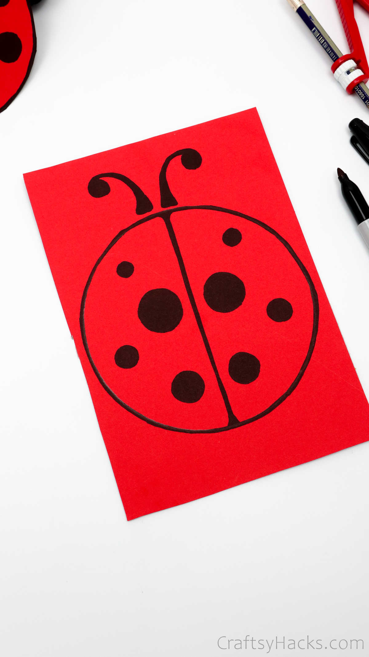 finished ladybug drawing