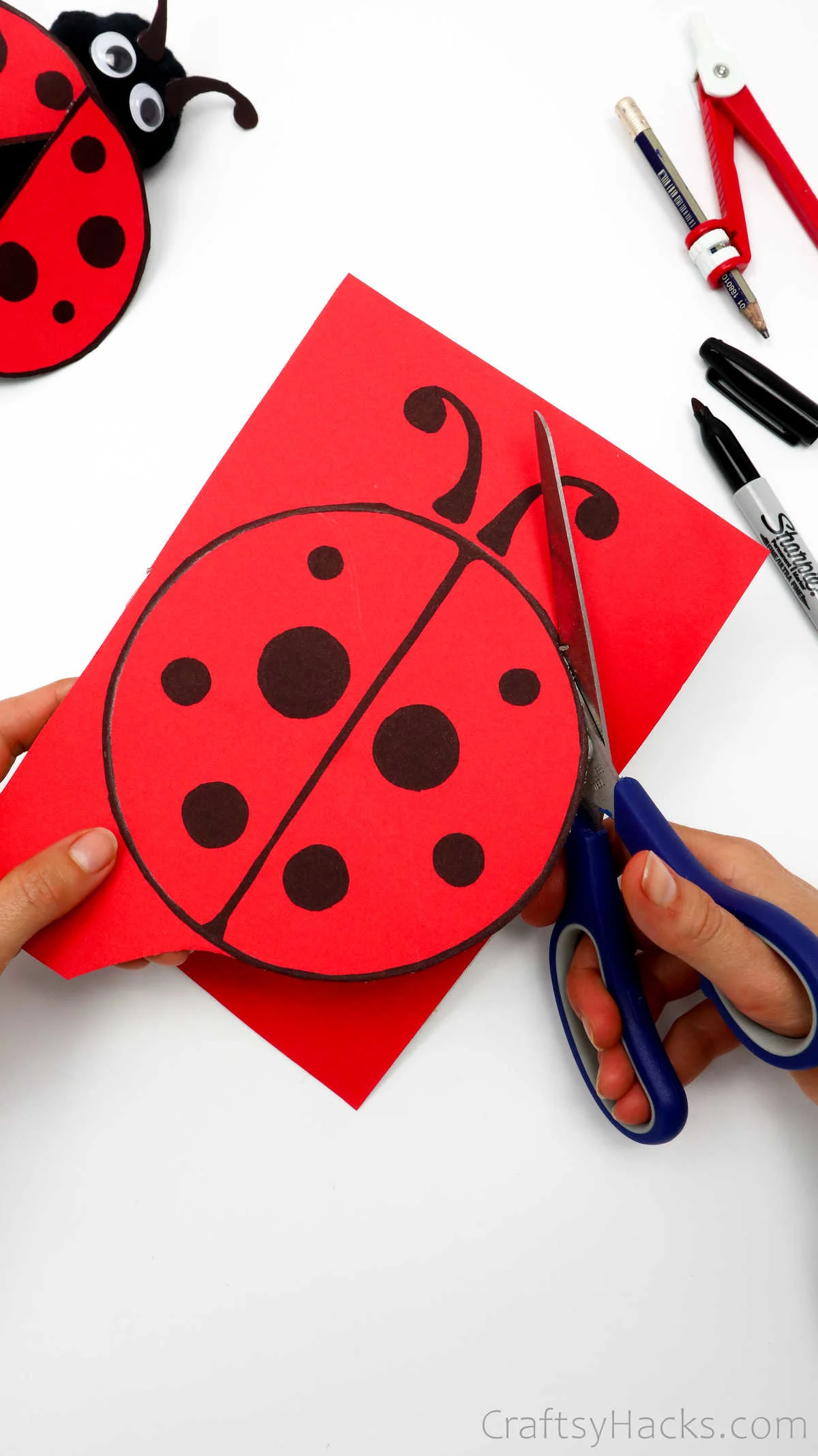 cutting out ladybug