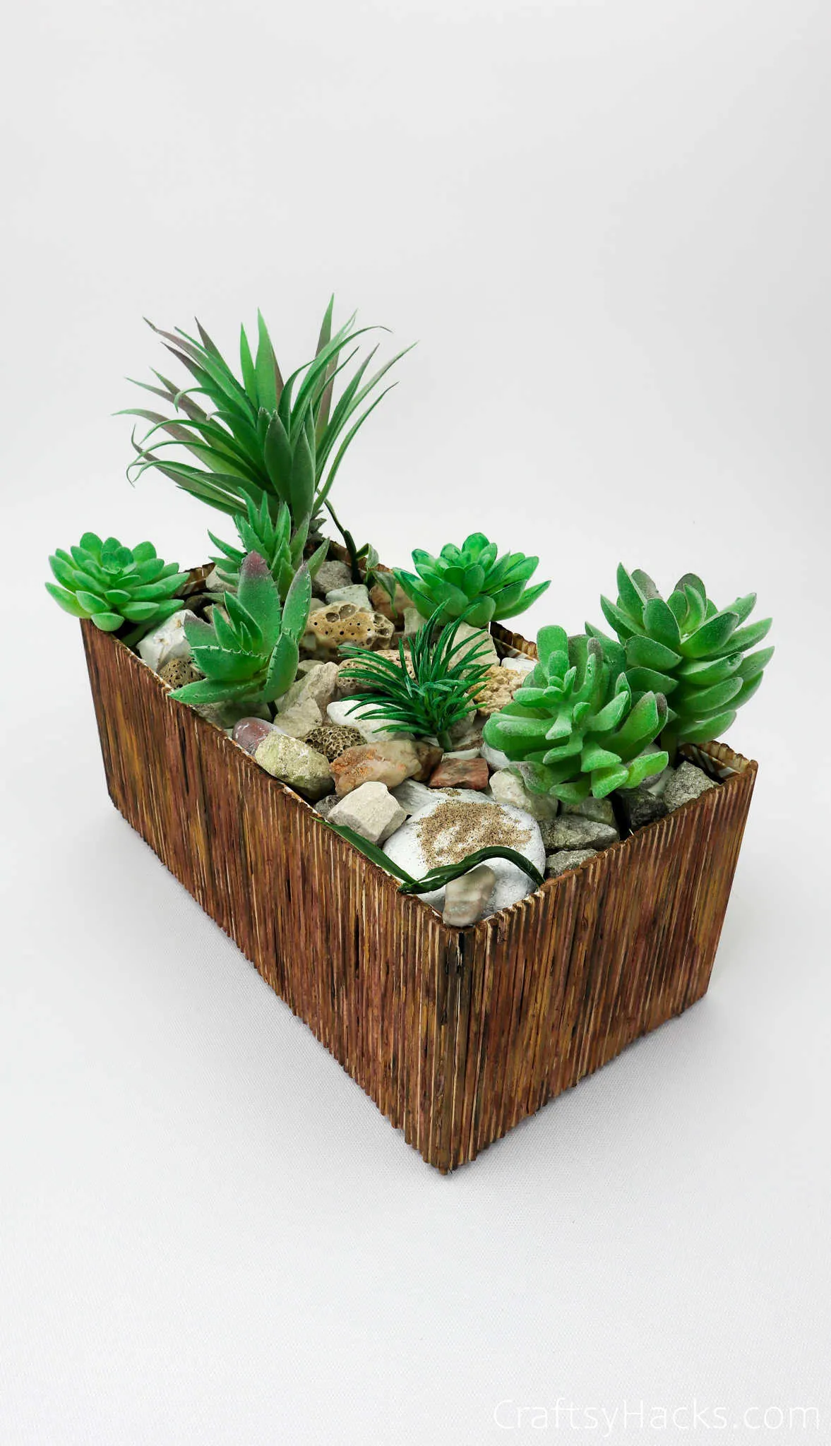 diy succulent planter