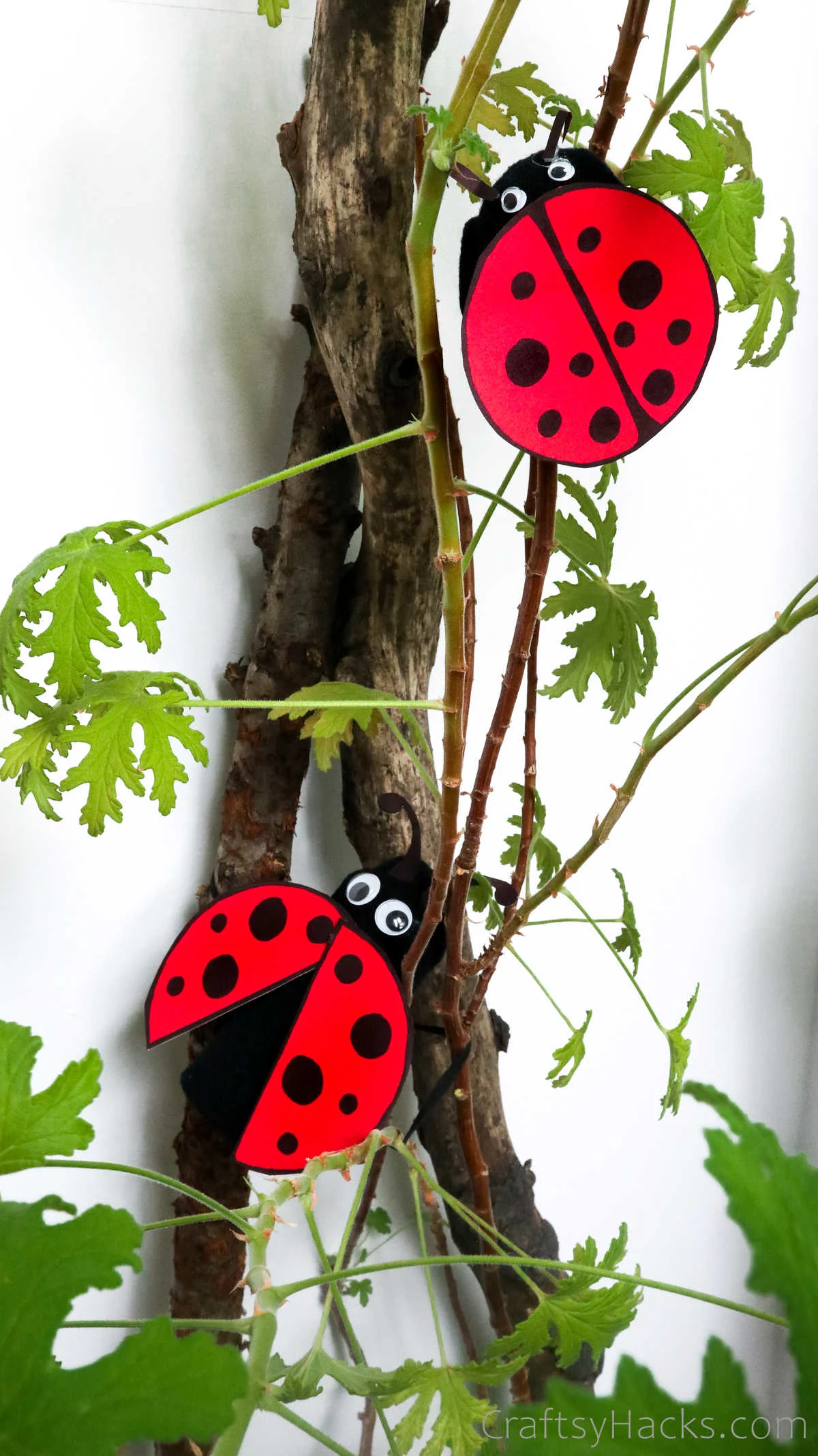 paper roll ladybugs in tree