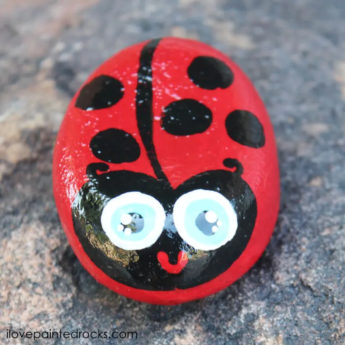 Ladybug Rock