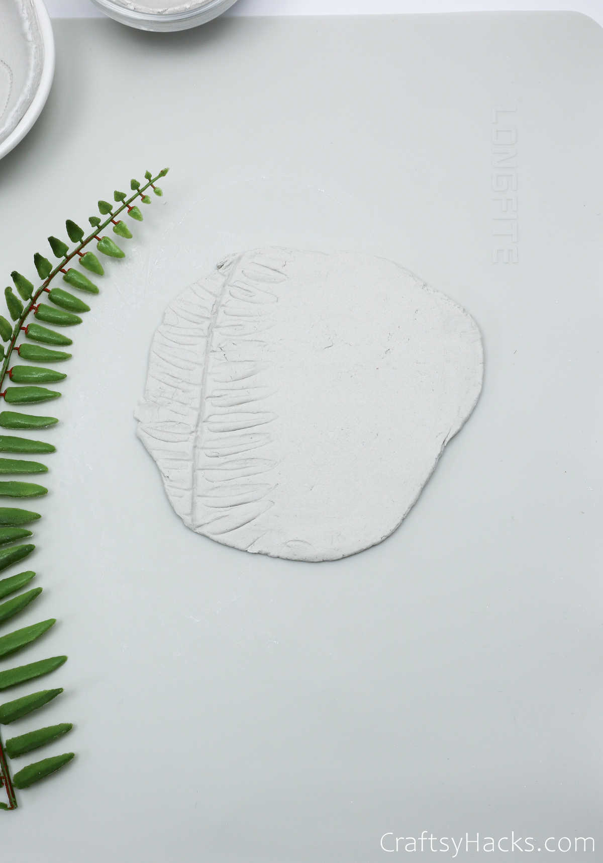 leaves on clay