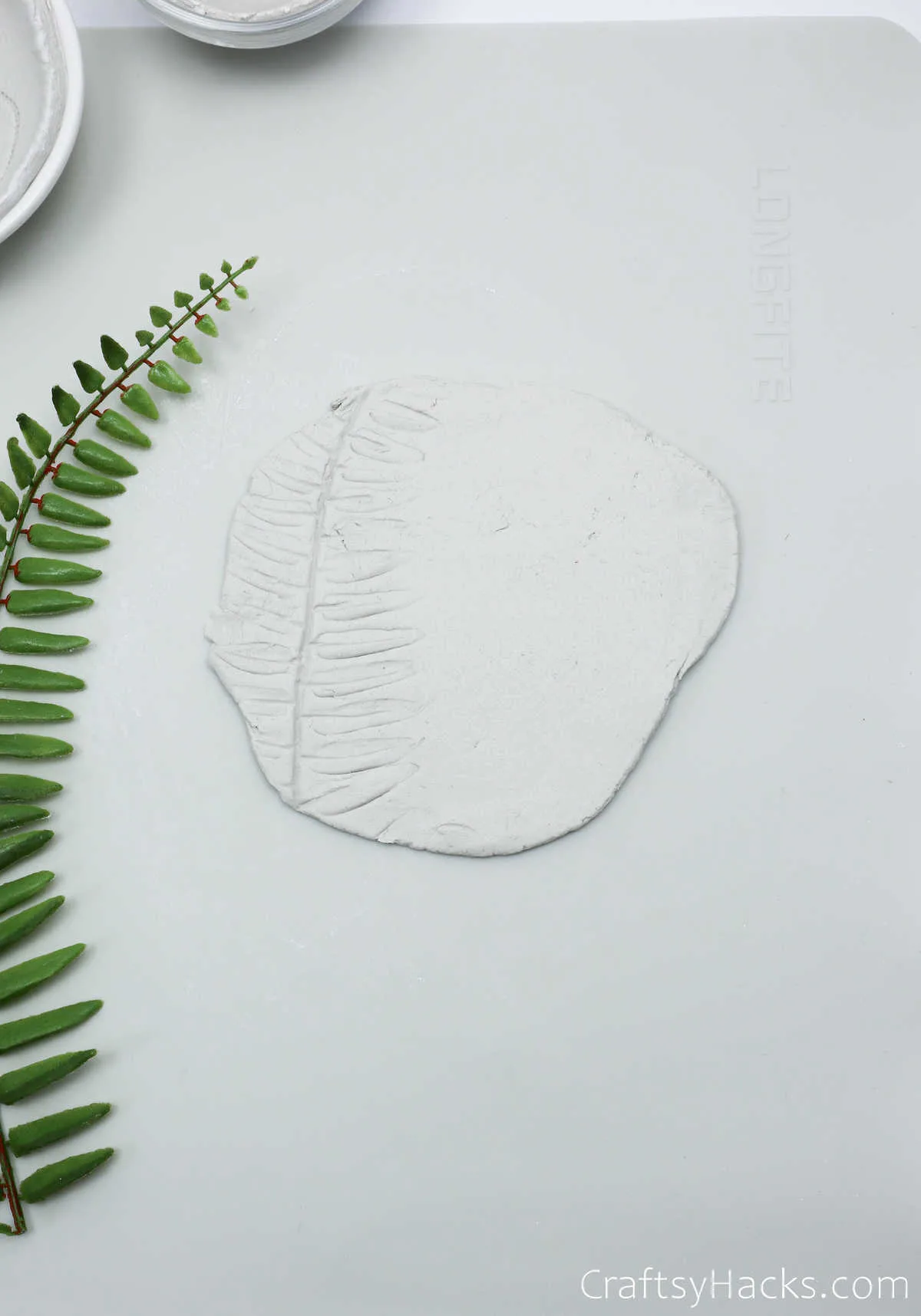 leaves on clay