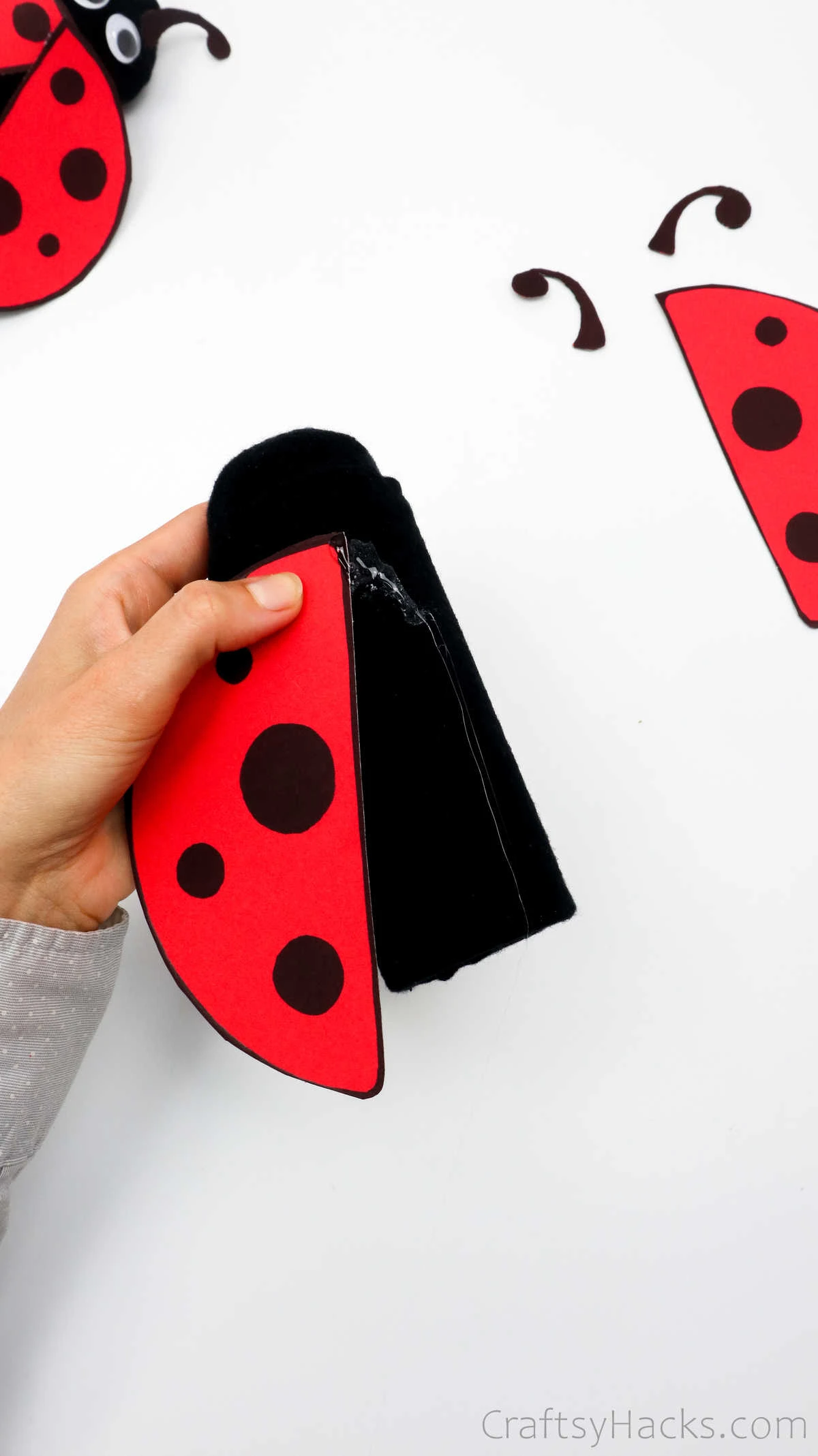 glueing ladybug wings