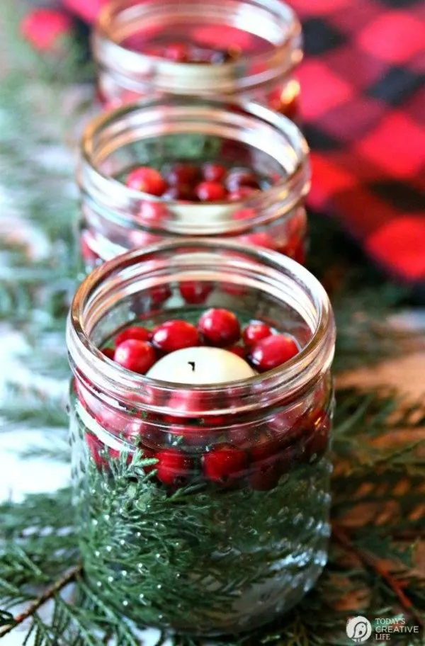 Christmas Luminaries