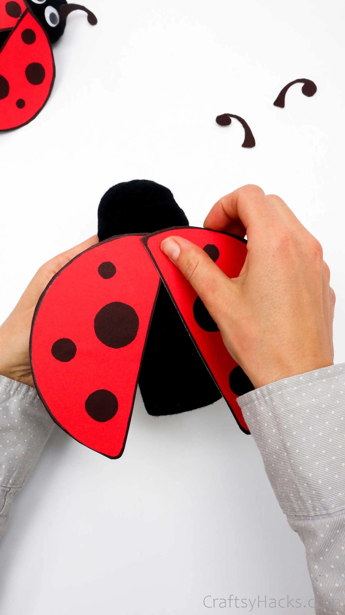 attaching ladybug wings