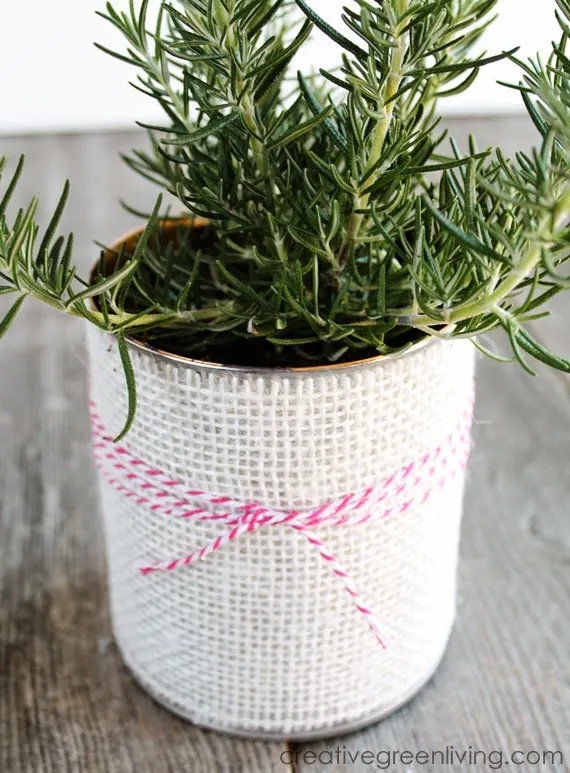 Giftable Planter