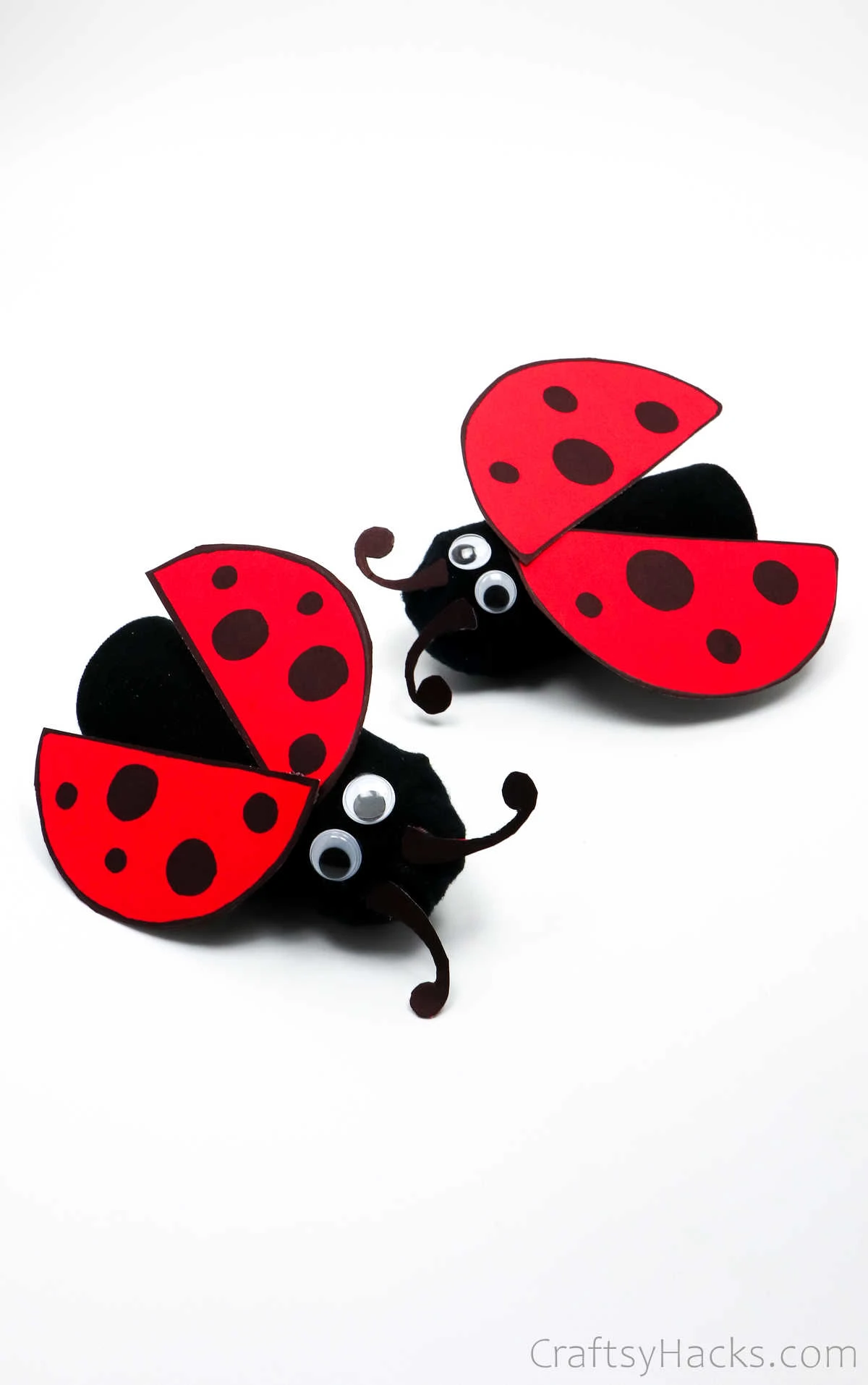 two completed ladybugs