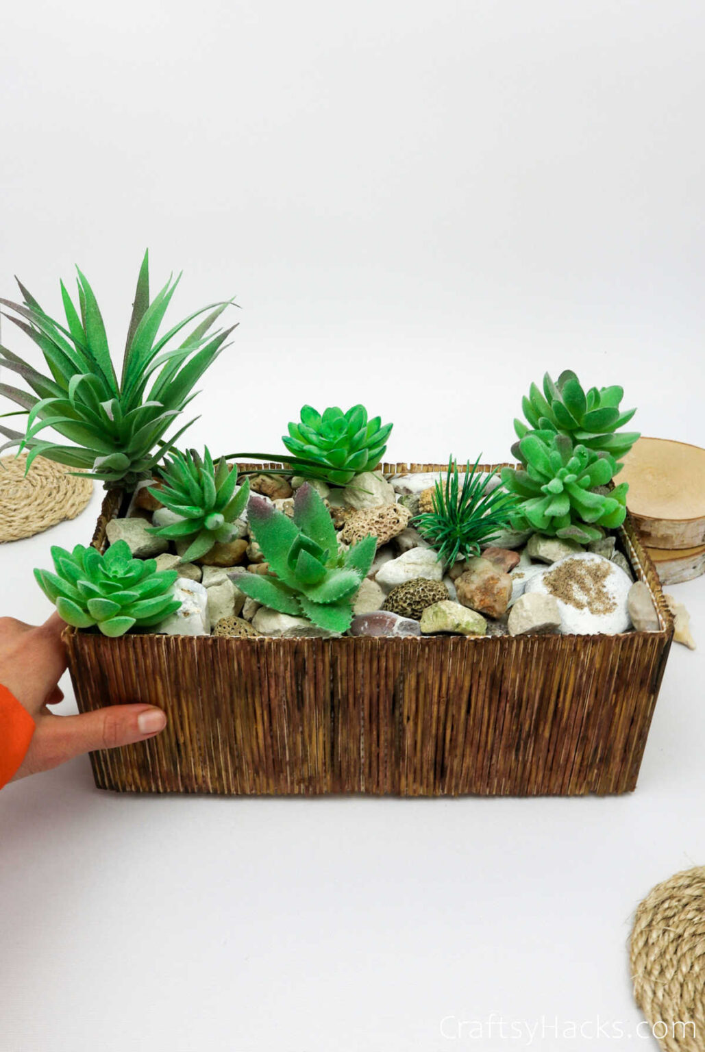 DIY Boho Succulent Planter (Step-by-Step) - Craftsy Hacks