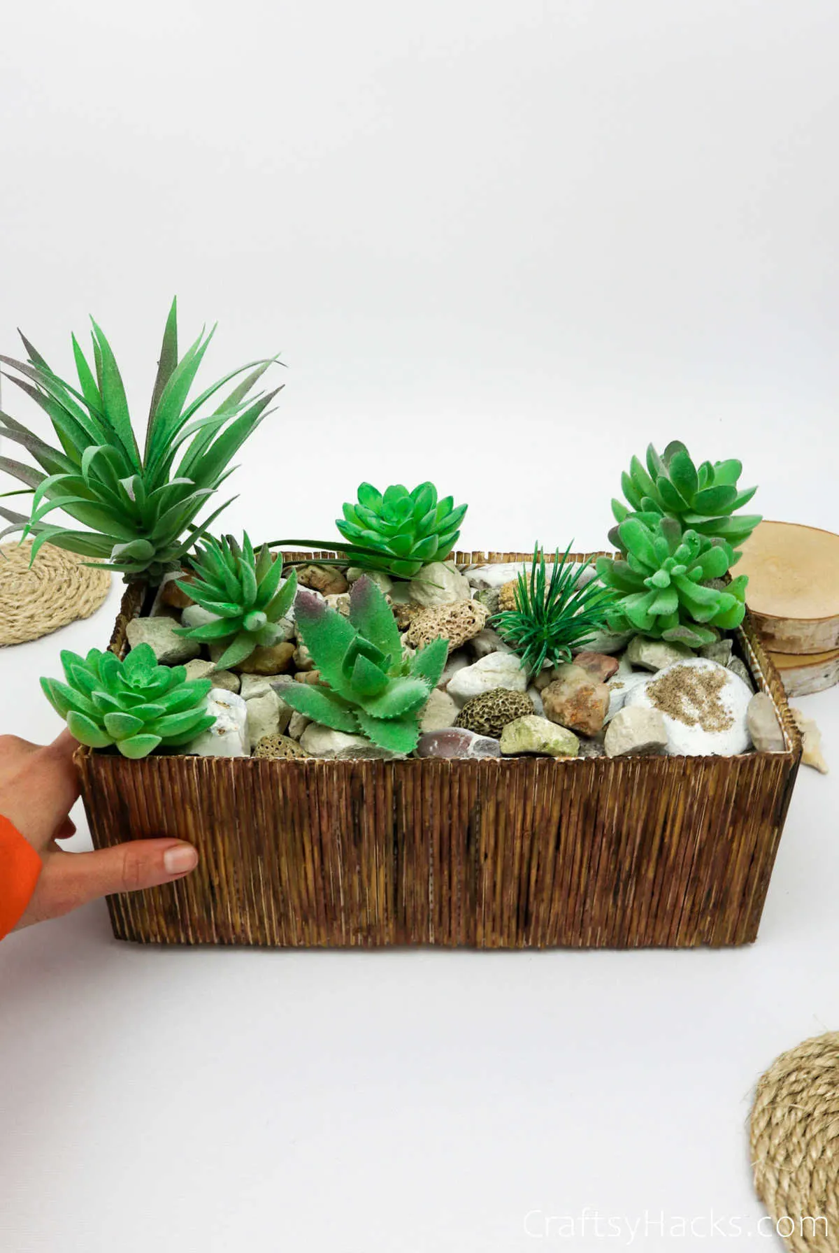 diy planter with succulents